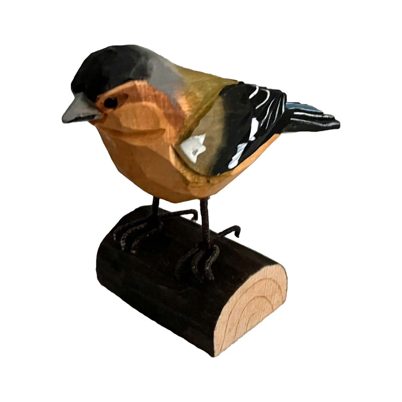Vogel stehend Buchfink
