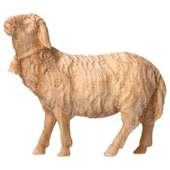 Schaf geradeaus schauend mit Glocke aus Zirbenholz, Krippenfiguren 