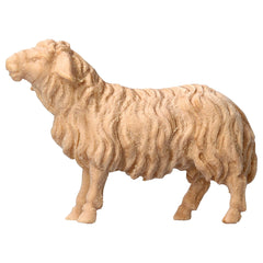 Schaf geradeaus schauend aus Zirbenholz, Krippenfiguren 