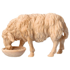 Schaf trinkend aus Zirbenholz, Krippenfiguren 