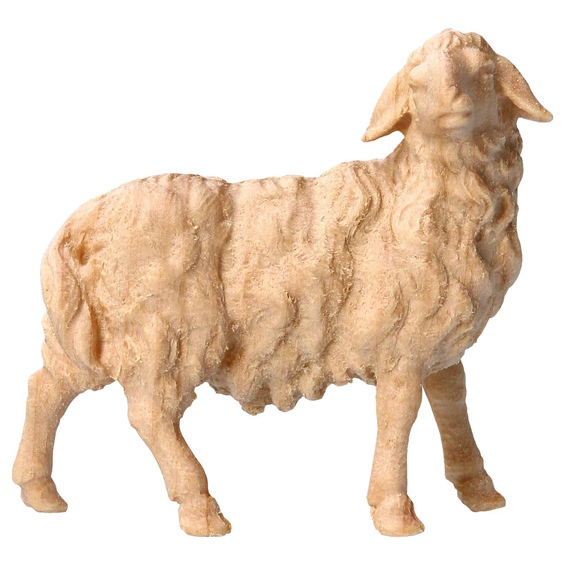 Schaf rechts schauend aus Zirbenholz, Krippenfiguren "Berg Zirbe"