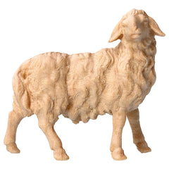 Schaf rechts schauend aus Zirbenholz, Krippenfiguren 