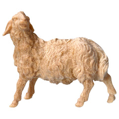 Schaf links schauend aus Zirbenholz, Krippenfiguren 