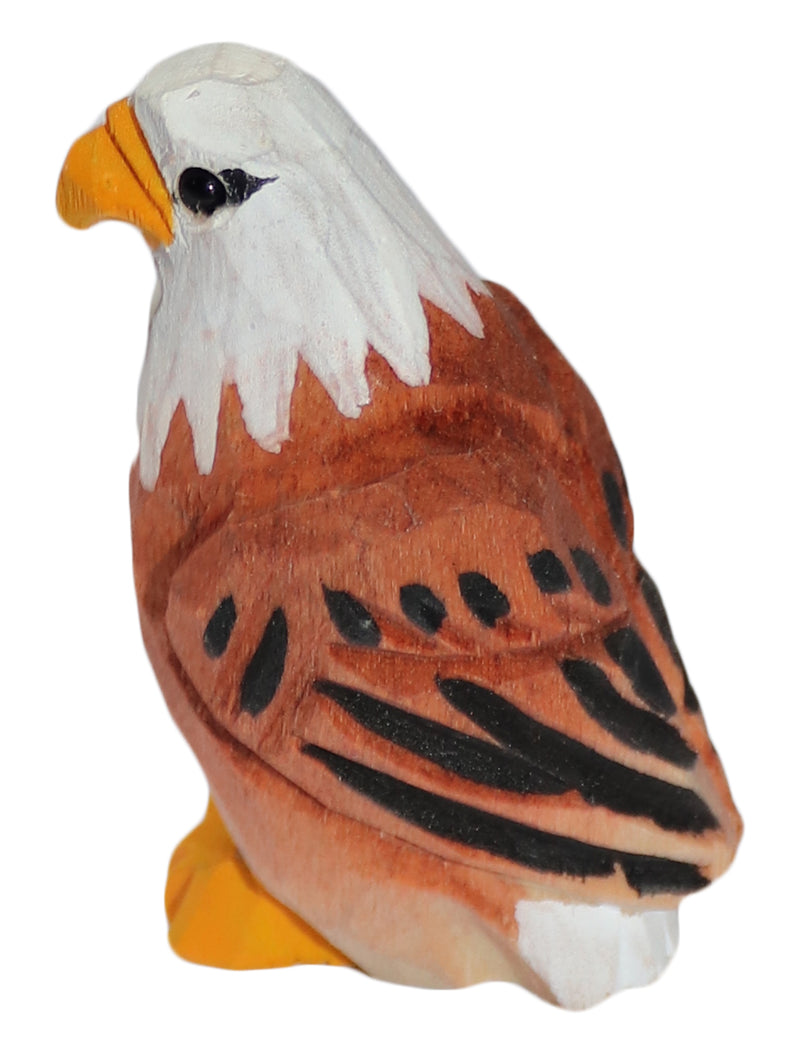 Vogel Weißkopfadler 013.330