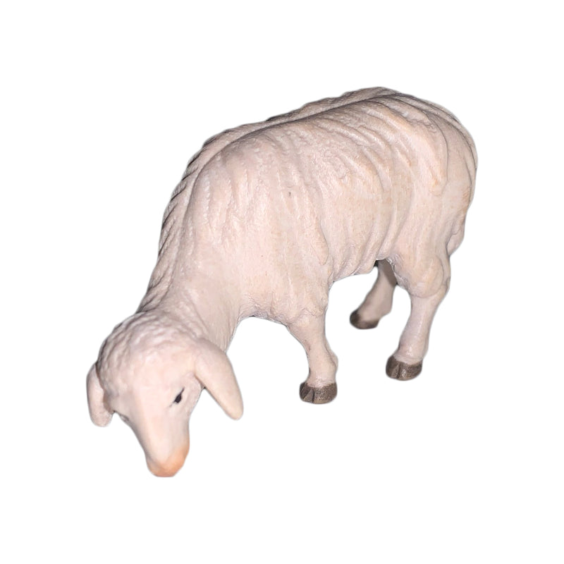 Schaf grasend Nr. 56 aus Ahornholz, Krippenfiguren "Thomas"